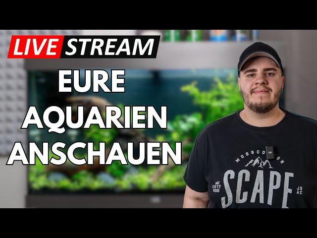 Ich reagiere auf eure Aquarien und Terrarien! Livestream