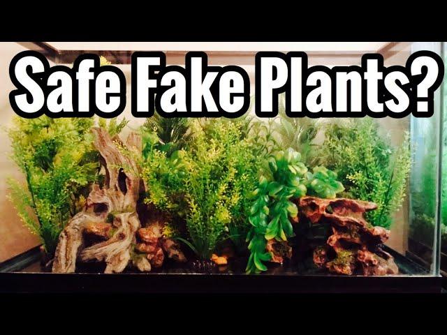 Aquarium Safe Fake Plants? Plastic vs Silk