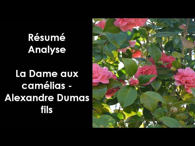 "La Dame aux camélias" d'Alexandre Dumas fils