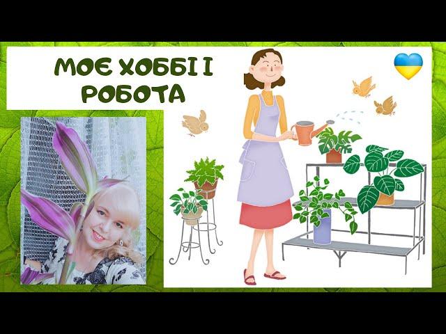 Мої кімнатні рослини на кухні 12 березня 2024 року/Зелена стіна/Багатоповерхове рослинне вікно