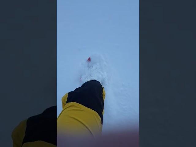 #Snowshoeing Slow Motion in Powder Snow #Shorts