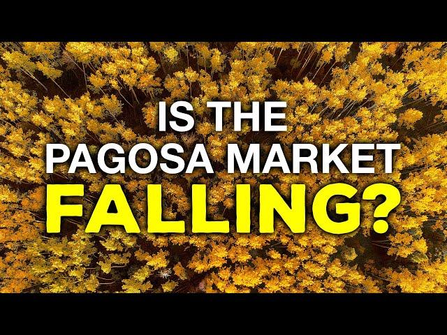 Is now a good time to buy or sell in Pagosa Springs, Colorado?