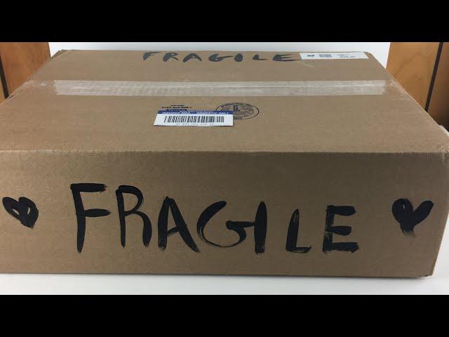 Pidgin Doll unboxing. My first BJD