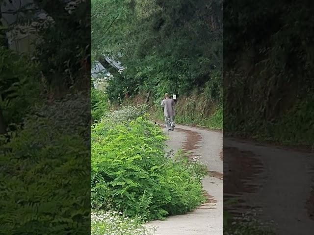 무량수여래회 근본도량인 영주 용두사(용득사)를 방문하신 후 정토서적(염불삼매)을 받쳐 들고 하산하시는 염류 큰스님의 뒷모습이 너무나 거룩하십니다. 나무아미타불 _()_