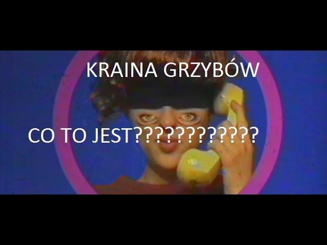 Kraina Grzybów - Co to jest?