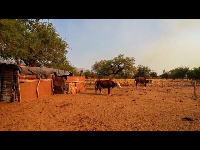 Así es la vida en un paraje rural en el medio de la nada | Animales, sequía y sacrificio