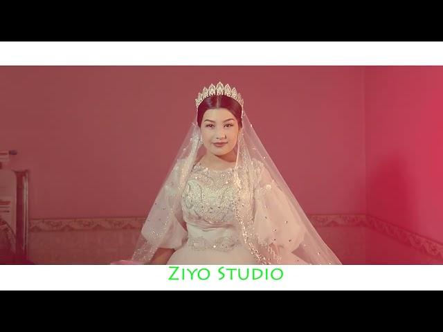 Ziyo studio gazavat toylar