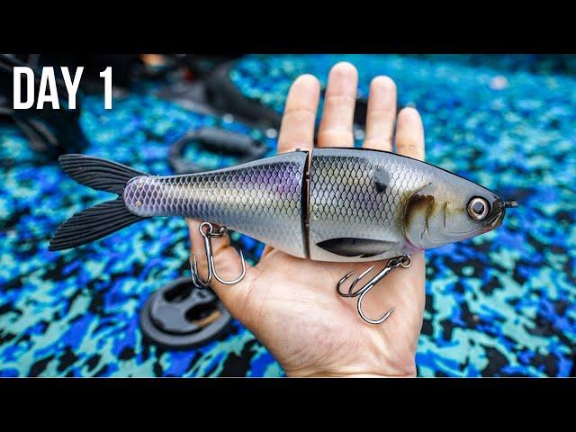 Catching GIANTS!! EPIC Glide Bait Fishing During Jon Boat Tournament CLASSIC