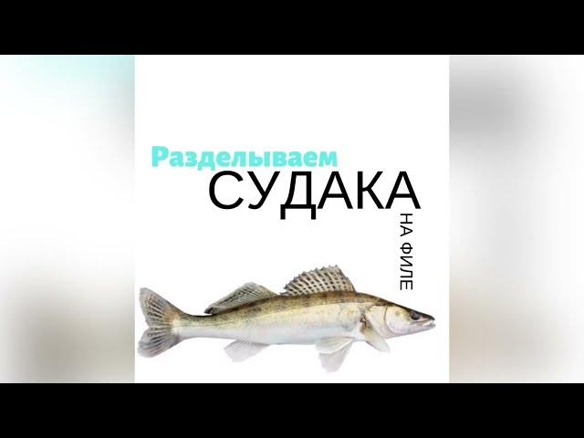 Разделка судака на филе.Простой способ.Снимали в Астрахани)