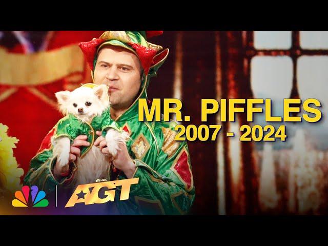 Our Favorite Mr. Piffles Moment | AGT