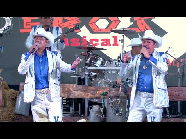 DOS HOJAS SIN RUMBO - VAQUEROS MUSICAL EN VIVO