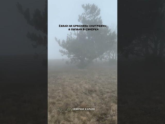 Сумерки? #крым #отдыхвкрыму #переездссевера #переезднаюг #путешествие #путешествиенаавто
