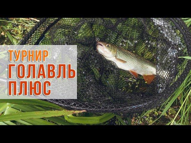 Турнир "Голавль Плюс"