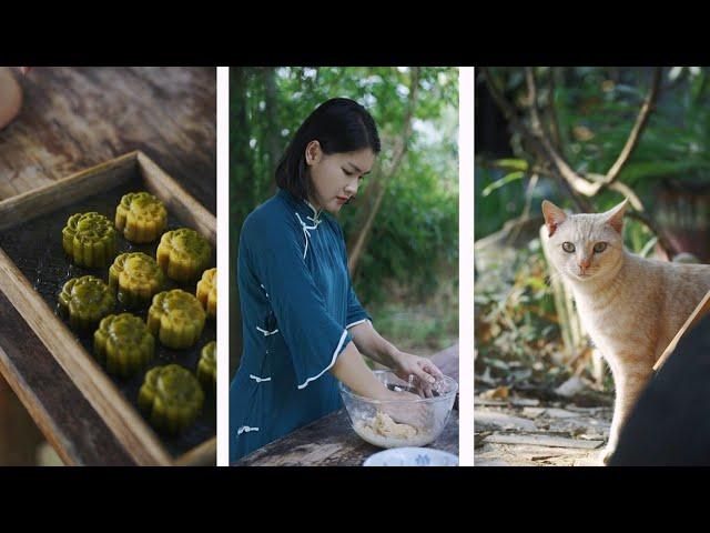 طرز تهیه‌ی کیک ماه (مون کیک)/زندگی روستایی/mooncake recipe /countryside life