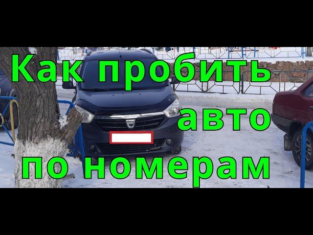 Как пробить авто по гос номеру