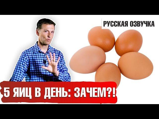 Кето продукты. Яйца: сколько можно? (русская озвучка)