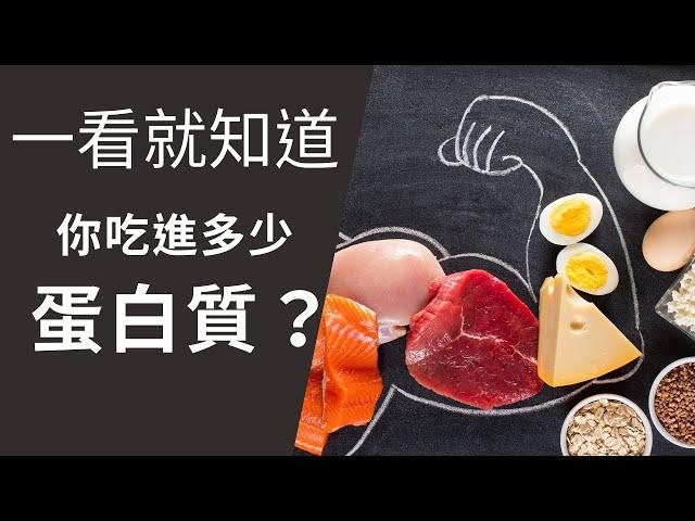 一看就知道吃進多少蛋白質Protein/增肌新手入門必看/簡單易懂/人人都可以成為增肌高手(蛋白質系列 2)