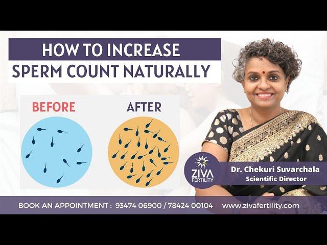 Boost male fertility and increase sperm count naturally || Dr Chekuri Suvarchala