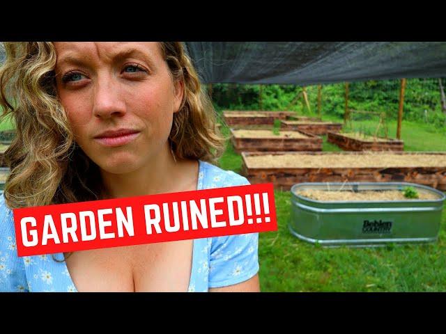 5 Mistakes We Made in our Garden that Might Ruin Our Growing Season