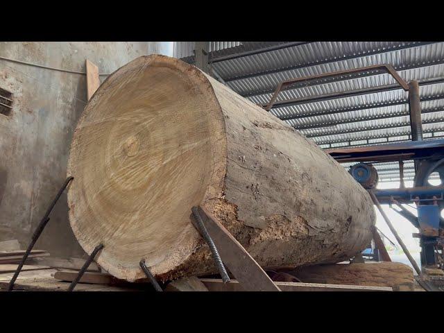 Amazing Raw Wood Sawmill | Operating Extra Large Saws, Beautifully Sawing Planks