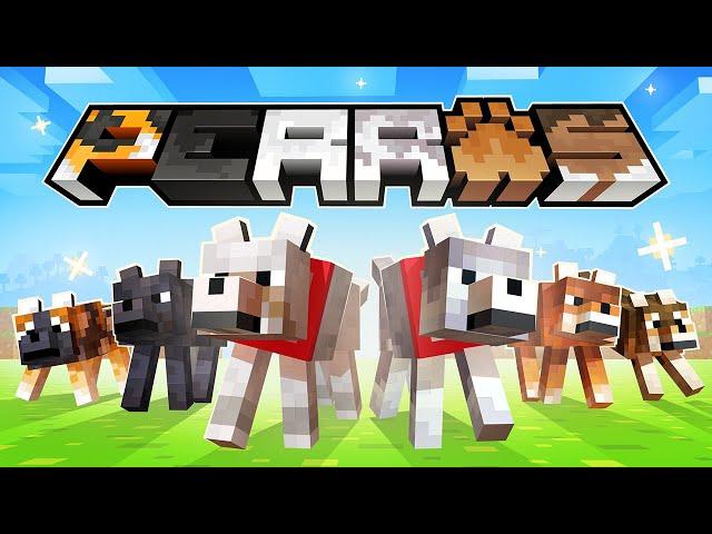  PERROS - Canción de Minecraft