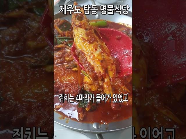 제주도 명물식당 제주공항근처 탑동 쥐치조림맛집 #제주도맛집  #제주도맛집추천 #전국맛집 #쥐치 #제주맛집 #제주맛집추천 #서귀포맛집 #제주공항근처맛집 #제주공항맛집 #또간집 #풍자