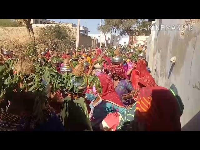 गाँव रताऊ में ठाकुर जि के मन्दिर से भागवत कथा तक कलश यात्रा