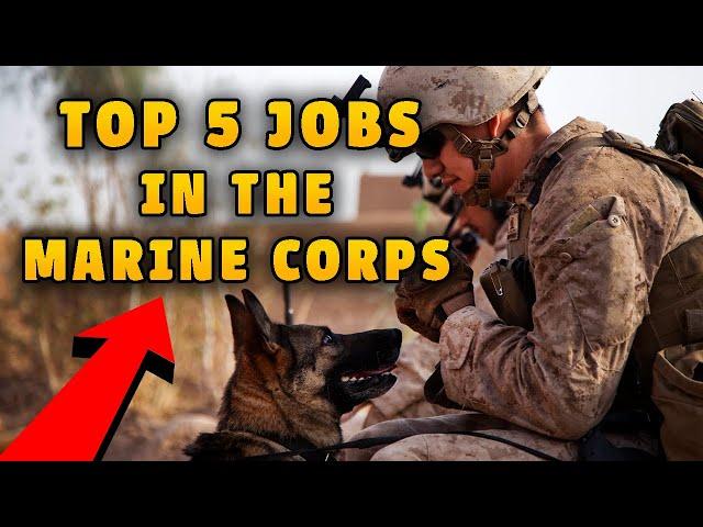 Top 5 Jobs In The Marine Corps