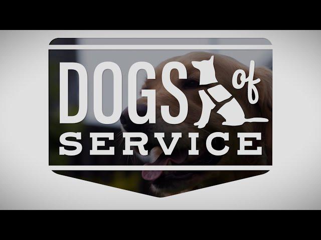 Dogs of Service | Documentary Trailer