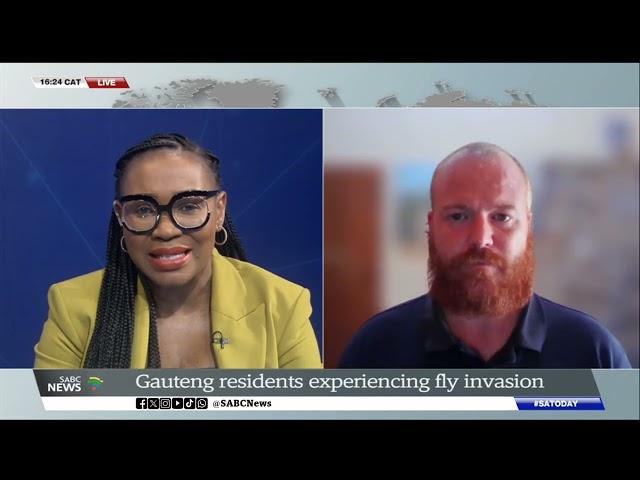 Gauteng residents experience fly invasion: Dr John Midgley weighs in