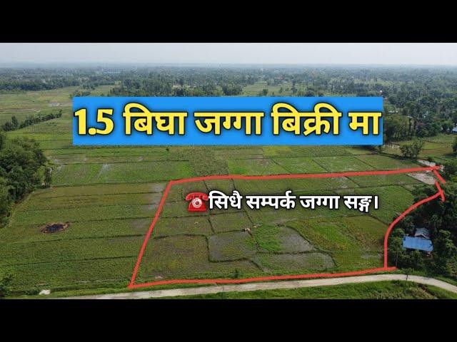 1.5 जग्गा बिक्री मा | सिधै सम्पर्क जग्गा धनी सङ्ग | Morang | Sansare | Pathari | Real estate nepal