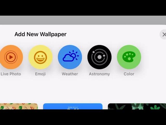 The Apple app that is not real, apparently.