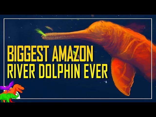 Giant Prehistoric River Dolphin Was Amazon’s Apex Riverine Mammal Predator