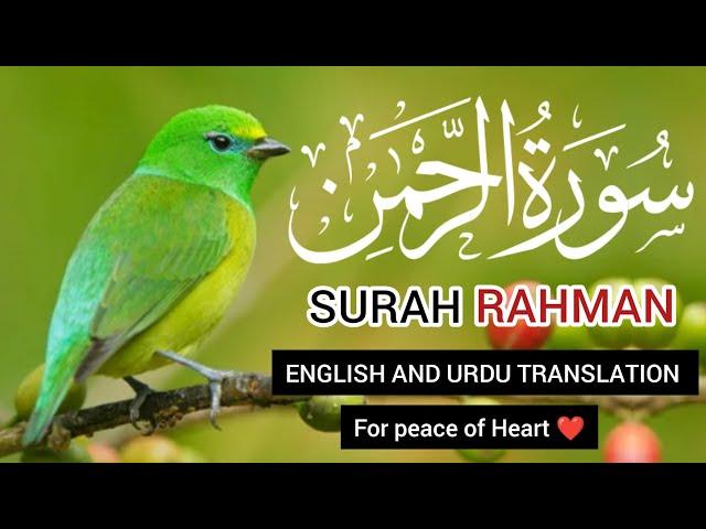 Surah Al Rahman I English and Urdu translation Amazing Quran Tilawat with Beautiful Visuals I