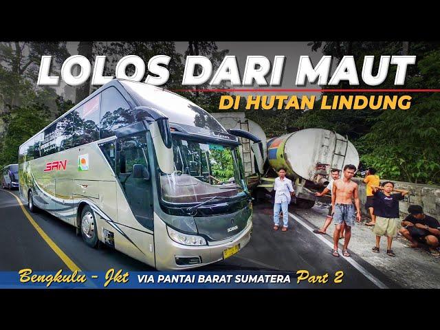 LOLOS DARI TERGELINCIR DI HUTAN LINDUNG | Trip Bus PO SAN | Bis Bengkulu Jakarta Via Lintas Barat #2