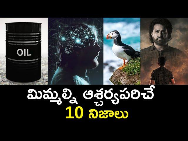 Top 10 Unknown Facts in Telugu |Interesting and Amazing Facts | Part 206| Minute Stuff