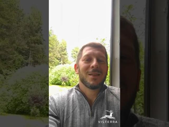 ЖИВАЯ ИЗГОРОДЬ НА ДАЧЕ В СИБИРИ НЕПРИХОТЛИВАЯ БЫСТРОРАСТУЩАЯ | ИВА ЛОМКАЯ