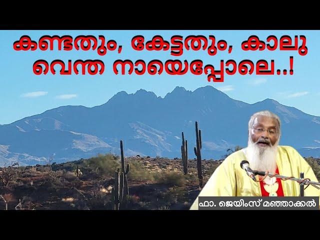 കണ്ടതും, കേട്ടതും, കാലു വെന്ത നായെപ്പോലെ..! - ഫാ. ജെയിംസ് മഞ്ഞാക്കൽ