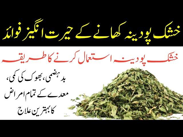 Khushk Pudina Khane Ke Fayde | Health Benefits Of Mint | Pudina Ka Istemal Aur Fawaid