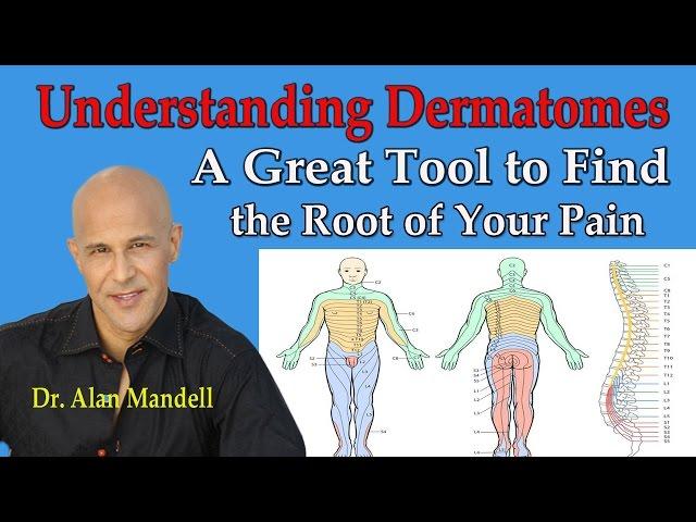 Understanding Dermatomes -- A Great Tool to Find the Root of Your Pain  - Dr Mandell