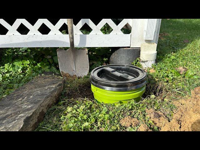 Simple Dog Septic System