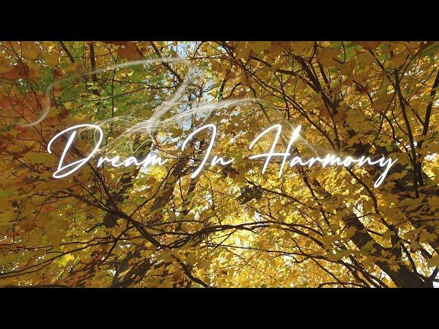 Relaxing Piano Music | Dream in Harmony | Forest Sounds