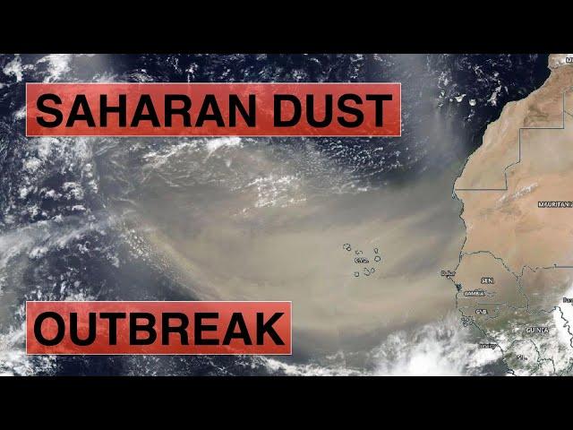 Saharan Dust Choking the Atlantic of Tropical Development