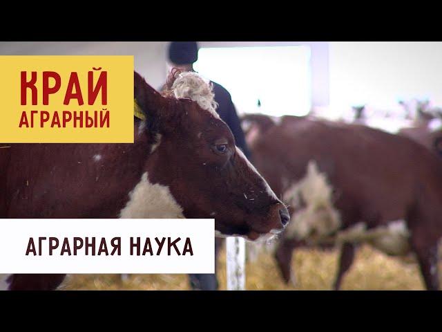 Аграрная наука | «Край аграрный»