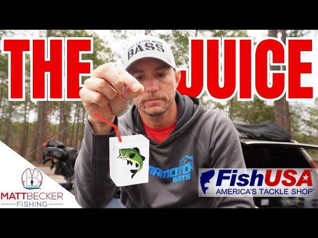 TOLEDO BEND Tournament Recap (Bass Pro Tour - Stage One - Top 10 Finish!)