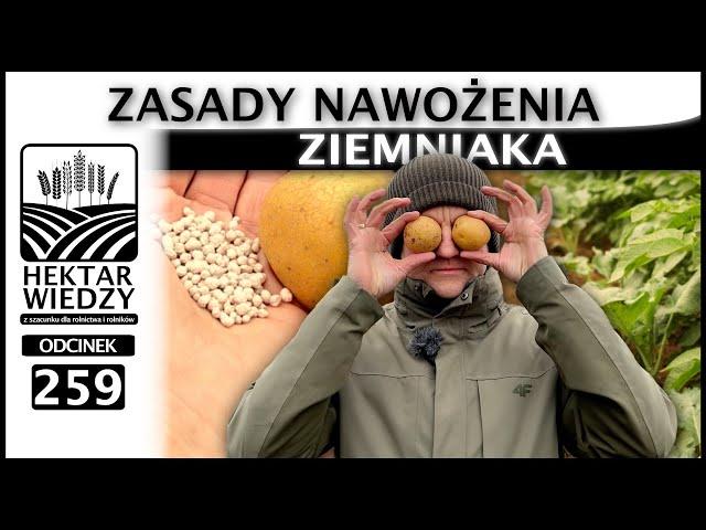 ZASADY NAWOŻENIA ZIEMNIAKA W UPRAWIE POLOWEJ.  | ODCINEK 259