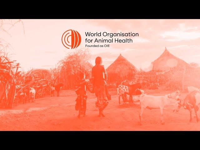 World Organisation for Animal Health (WOAH, founded as OIE) - It's Everyone's Health.