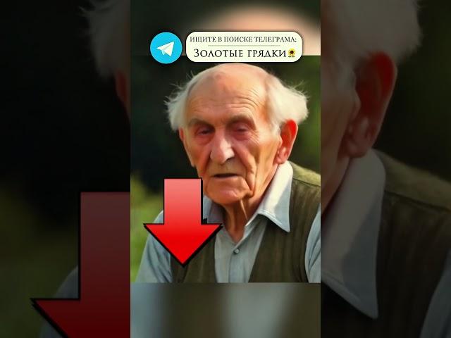НЕ сажайте ЧЕСНОК осенью не зная это! Когда сажать чеснок и что класть в лунку #огород #садоводство