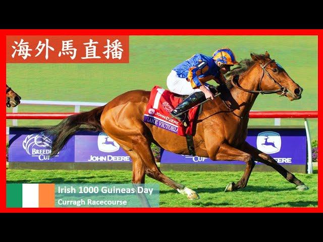 【海外馬直播】愛爾蘭一千堅尼賽馬日 Irish 1000 Guineas Day 卻拉馬場 Curragh Racecourse 愛爾蘭 Ireland