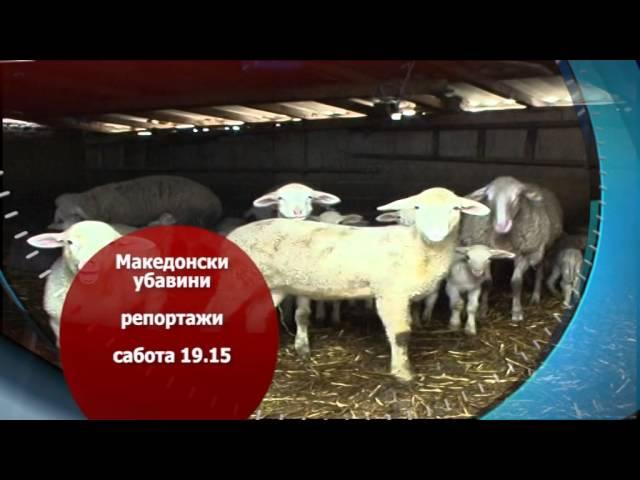 Мариово филм и 24 Вести